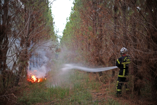 World News: Wildfires threaten Bordeaux as France and Spain battle blazes